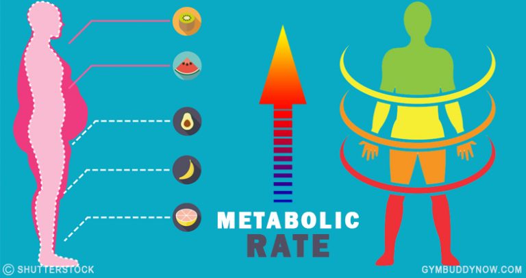 The Importance Of Metabolism In Weight Loss And, How To Increase It ...