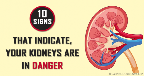 10 Signs That Your Kidneys Are In Danger! | Gymbuddy Now